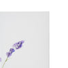 Lavender Orchids Floral Embellished Canvas Wall Art Print - 16"x20"